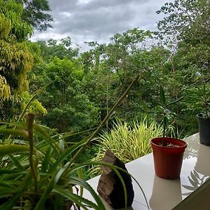 San Rafael Ecolodge